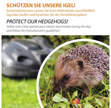 Sicherheitshinweis zum Schutz von Igeln: Mähroboter nur tagsüber betreiben und Herstellerangaben beachten.