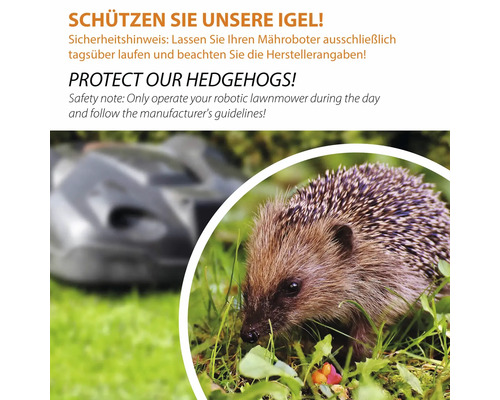 Sicherheitshinweis zum Schutz von Igeln: Mähroboter nur tagsüber betreiben und Herstellerangaben beachten.