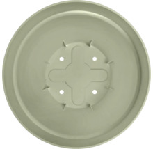 Soucoupe ronde en plastique vert clair pour pots de fleurs avec trous de drainage et renfort en forme de croix.