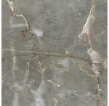 Gros plan d une surface grise avec un motif marbré et des veines blanches et brunâtres.