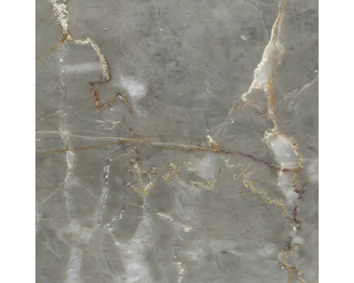 Gros plan d une surface grise avec un motif marbré et des veines blanches et brunâtres.