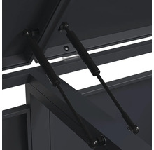 Deux vérins à gaz noirs soutenant le couvercle ouvert d'un coffre de rangement en métal.