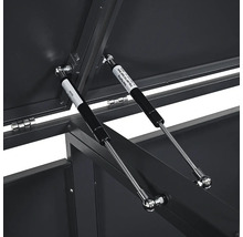 Deux vérins à gaz sur un coffre de rangement en métal pour soutenir le couvercle.