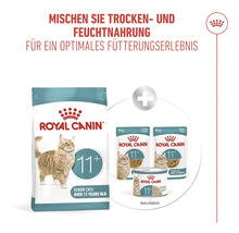 Royal Canin croquettes et nourriture humide pour chats seniors de plus de 11 ans pour une alimentation mixte.