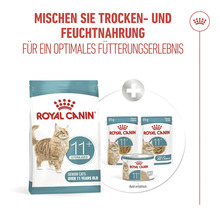 Logo Royal Canin. Infographie sur la combinaison d'aliments secs et humides pour chats seniors stérilisés de plus de 11 ans.