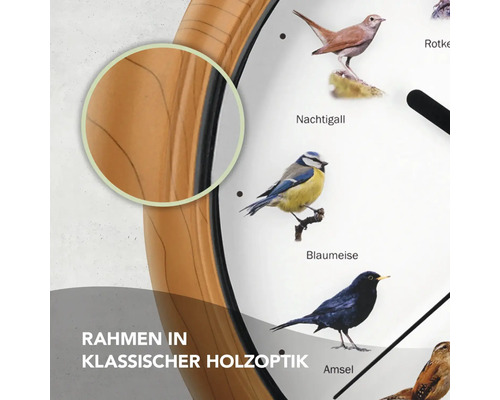 Detailansicht einer Wanduhr mit einem Rahmen in Holzoptik und einem Zifferblatt mit verschiedenen Vogelmotiven.