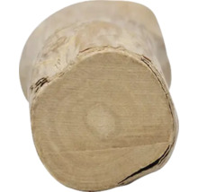 Nahaufnahme eines Holzpfostens mit sichtbarer Maserung und Jahresringen