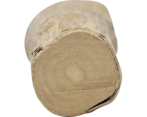 Nahaufnahme eines Holzpfostens mit sichtbarer Maserung und Jahresringen