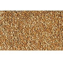 Gros plan de granulés alimentaires ronds et plats dans diverses nuances de brun.