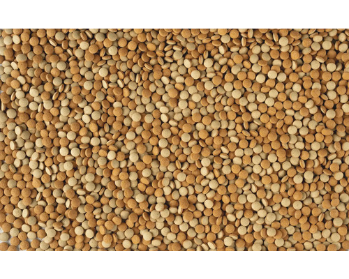 Gros plan de granulés alimentaires ronds et plats dans diverses nuances de brun.