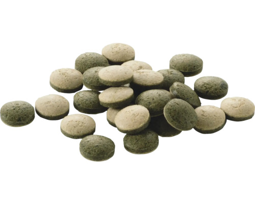 Pastilles de nourriture vertes et beiges pour poissons, de forme ronde.