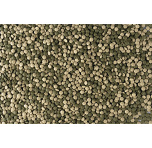 Mélange de comprimés de nourriture pour poissons d'aquarium de fond dans différentes nuances de vert et de brun.