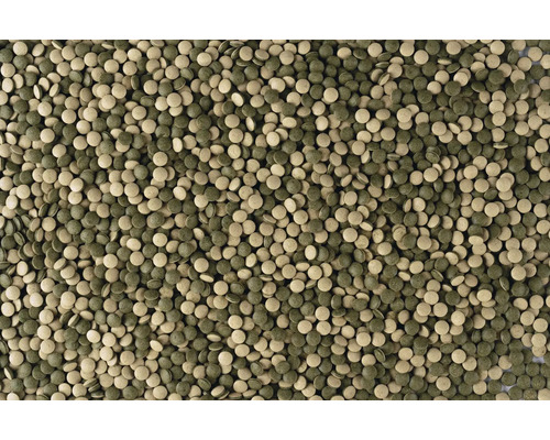 Mélange de comprimés de nourriture pour poissons d'aquarium de fond dans différentes nuances de vert et de brun.