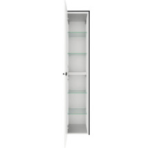 Armoire haute de salle de bain avec porte ouverte, quatre tablettes en verre et une étagère fixe.