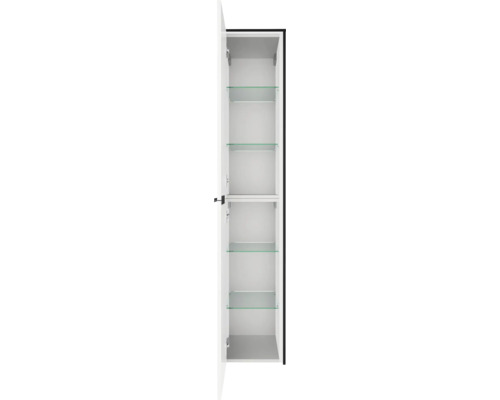 Armoire haute de salle de bain avec porte ouverte, quatre tablettes en verre et une étagère fixe.