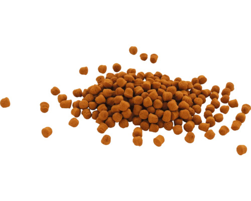 Granulés alimentaires bruns de forme irrégulière.