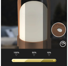 Lampe LED portable avec trois niveaux d intensite a 100 pour cent, 50 pour cent et 10 pour cent de luminosite et vue detaillee du bouton.