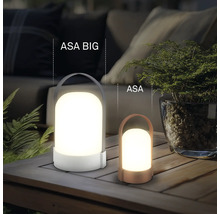 Deux lampes LED d'extérieur portables ASA BIG et ASA de différentes tailles sur une table en bois dans un jardin.