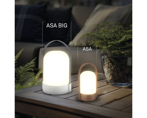 Deux lampes LED d'extérieur portables ASA BIG et ASA de différentes tailles sur une table en bois dans un jardin.