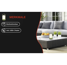 Lampe de table portable, intensité variable, câble USB-C inclus. Salon de jardin moderne avec canapé, table basse tressée, fruits et plantes.