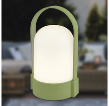 Lampe d'extérieur LED portable verte avec poignée et diffuseur blanc.