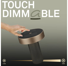 Lampe avec fonction tactile pour régler la luminosité de 10 à 100 pour cent.