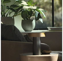 Lampe de table moderne avec socle nervuré sur une petite table dans un salon lumineux avec des plantes d intérieur.