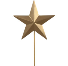 Goldener Gartenstecker in Sternform aus Metall.
