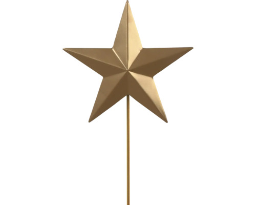 Goldener Gartenstecker in Sternform aus Metall.