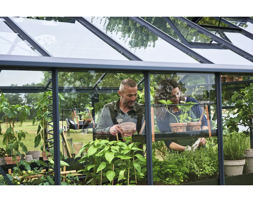 Ein Paar gärtnert in einem hellen Gewächshaus aus Glas und dunklem Metall, umgeben von Kräutern und Gemüsepflanzen in Töpfen.