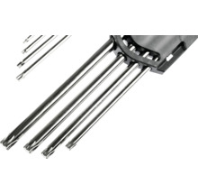 Torx-Stiftschlüsselsatz aus verchromtem Metall in schwarzem Halter.