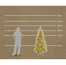 Künstlicher Weihnachtsbaum in Champagner mit Beleuchtung und einer Höhe von 180 Zentimetern im Größenvergleich zu einer Person.