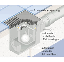 Schematische Darstellung eines Bodenablaufs mit automatischem Ballverschluss, manueller Absperrung und automatischer Rückstauklappe.