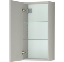 Armoire murale grise avec porte ouverte, deux étagères en verre et charnières métalliques.