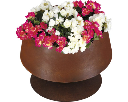 Pflanzschale aus Metall in Rostoptik mit Blumen bepflanzt.