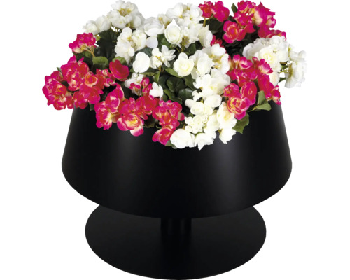 Schwarze Pflanzschale auf Standfuß mit rosa und weißen Begonien.