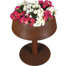 Pflanzschale aus Cortenstahl in Edelrost-Optik auf einem Standfuß, bepflanzt mit Blumen.