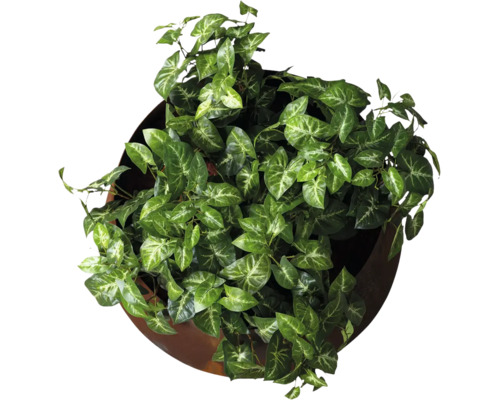 Künstliche Syngonium-Pflanze in rundem braunem Pflanztopf, Draufsicht.