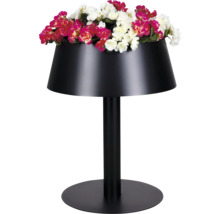 Schwarzer Pflanzkübel in Lampenform mit hohem Standfuß und Blumen.