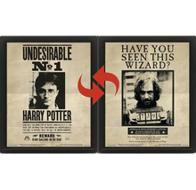 Poster lenticulaire 3D Harry Potter dans un cadre noir avec motif changeant de Harry Potter et Sirius Black.