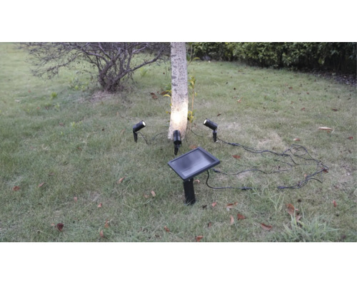 Kit d'éclairage de jardin solaire avec trois spots LED et un panneau solaire dans la pelouse pour éclairer un arbre.
