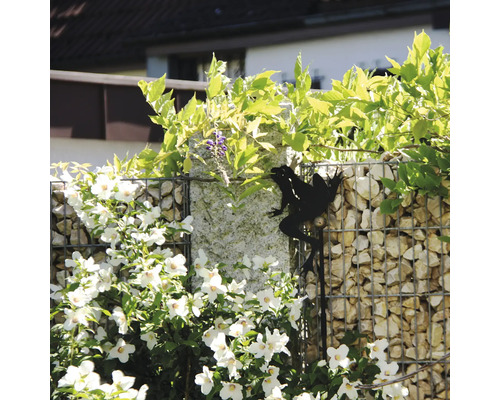 Piquet de jardin décoratif en forme de silhouette de grenouille noire devant un mur en gabions avec des fleurs blanches.