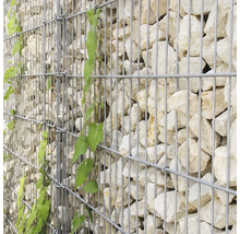 Gabion en treillis métallique rempli de pierres claires et d une plante grimpante verte.