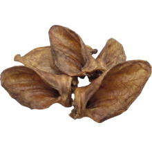 Oreilles de porc séchées comme friandise pour chiens