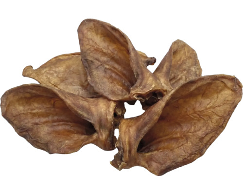 Oreilles de porc séchées comme friandise pour chiens