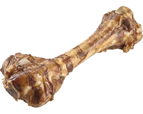 Os à moelle de bœuf naturel pour chiens.