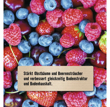 Nahaufnahme von Beeren mit Text zur Stärkung von Obstbäumen und Beerensträuchern sowie Verbesserung der Bodenstruktur.