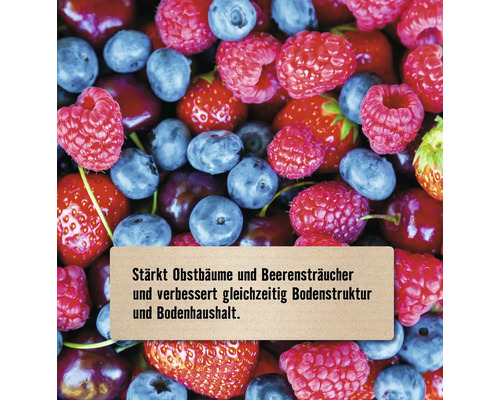 Nahaufnahme von Beeren mit Text zur Stärkung von Obstbäumen und Beerensträuchern sowie Verbesserung der Bodenstruktur.