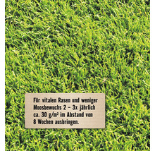 Dichte Rasenfläche mit Hinweistext zur Anwendung von Rasendünger gegen Moos zwei bis drei Mal jährlich circa 30 Gramm pro Quadratmeter.