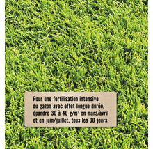Instructions pour la fertilisation intensive du gazon : épandre 30 à 40 grammes par mètre carré en mars ou avril et juin ou juillet, tous les 90 jours.